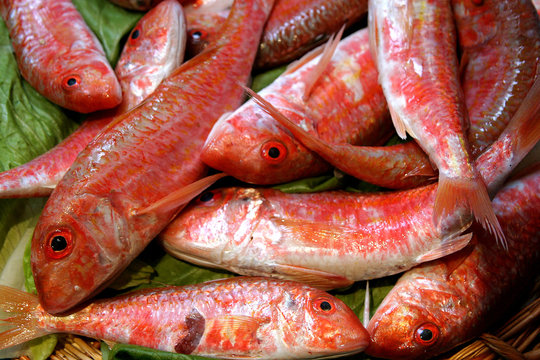 Why PinayPimateLate Is Gaining Momentum